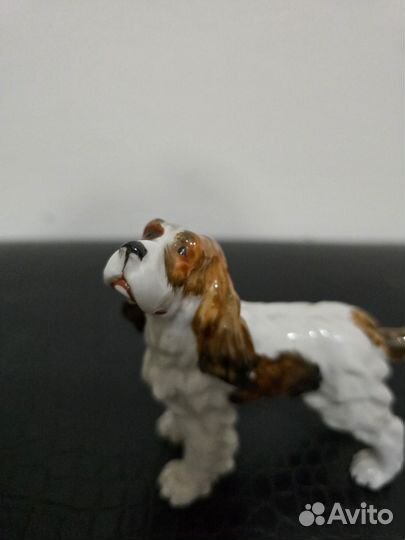 Limbach германия собака Фарфор