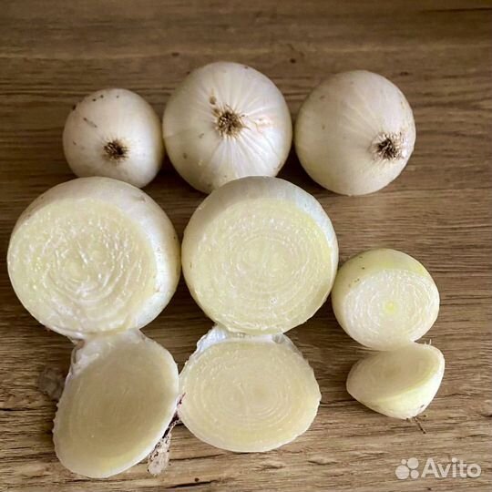 Лук белый Стардаст