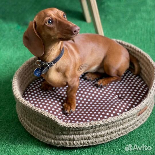 Лежанка для животных