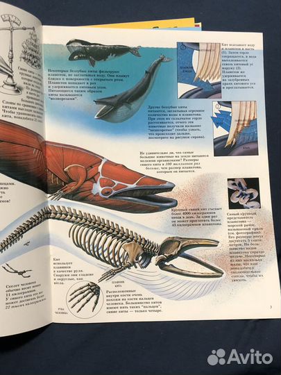 Детские книги разные