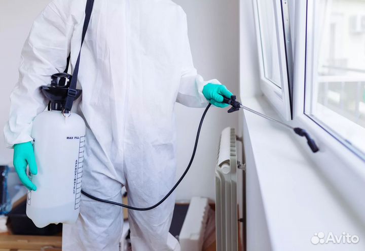 Уничтожение тараканов, клопов, комаров, крыс мышей