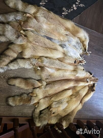 Шкуры лисы