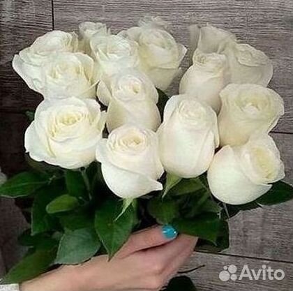 Высокие розы