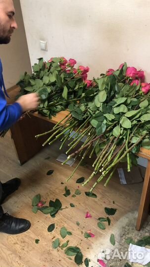 Розы Эквадор