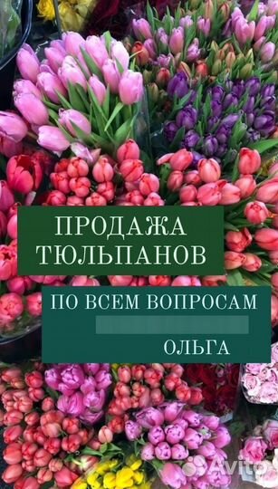 Тюльпаны к 8 марта
