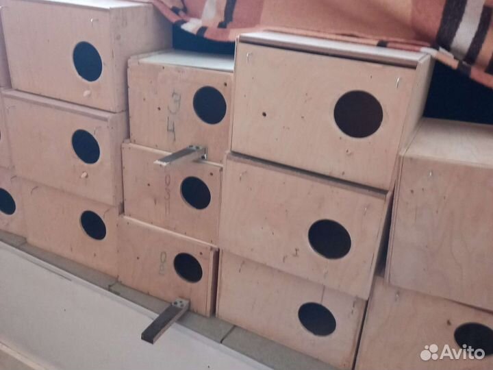 Домик для попугаев