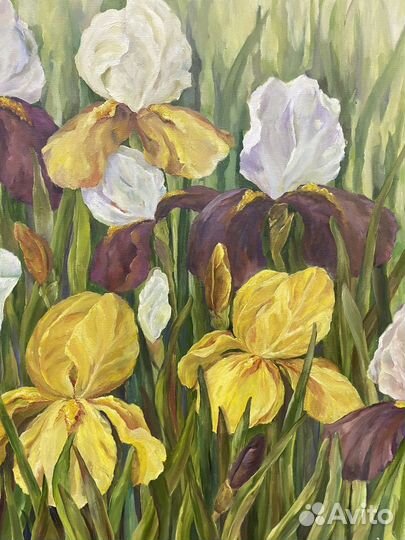Картина маслом на холсте. Ирисы