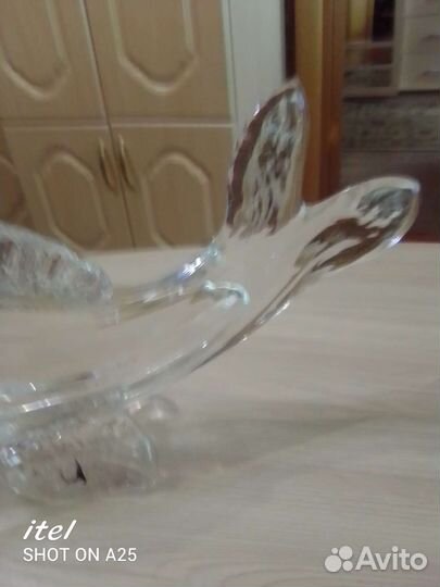 Рыбка хрусталь