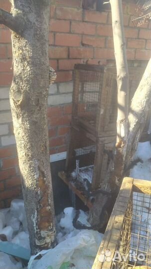 Клетки для кур кроликов