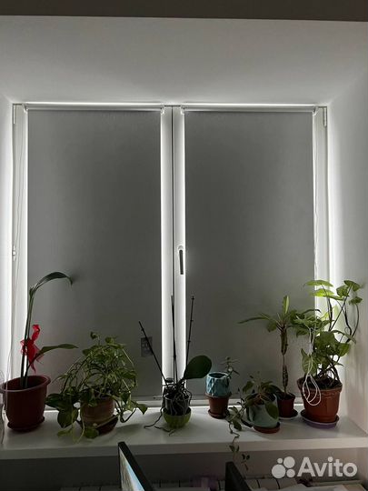 Жалюзи горизонтальные Челябинск