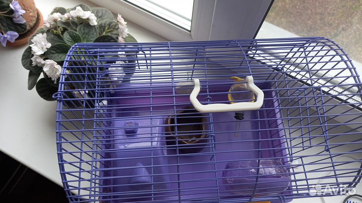 Клетка для джунгарского хомяка