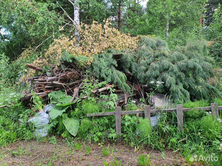 Дрова деревяшки
