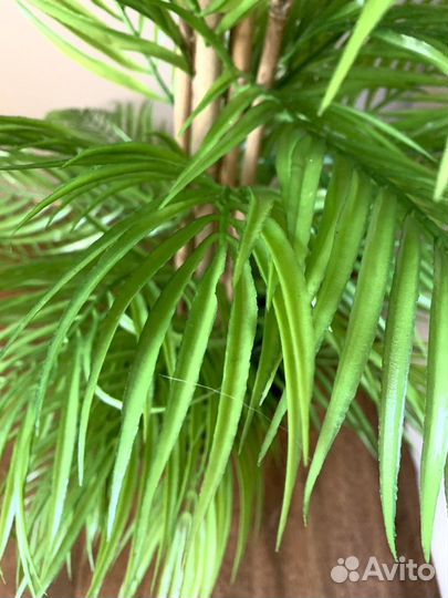 Искусственное дерево пальма,фикус,магнолия