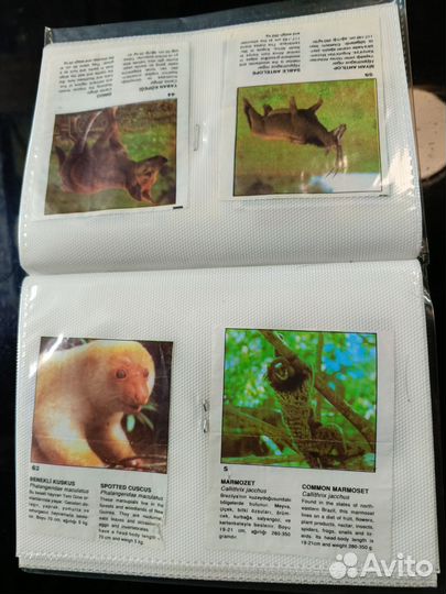 Вкладыши от жвачек 4