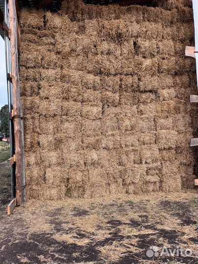 Сено солома в тюках