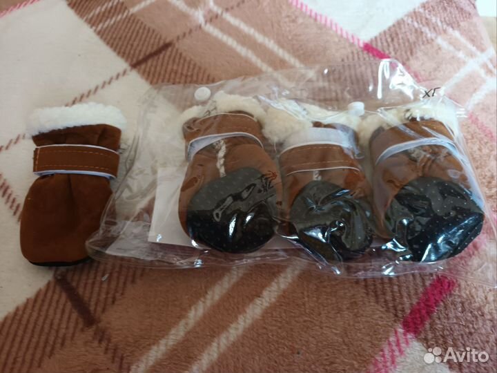 Одежда и обувь для собак мелких пород