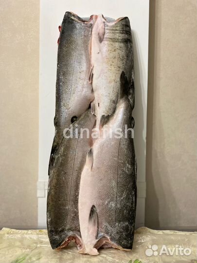 Кета Горбуша Кижуч Семга в наличии