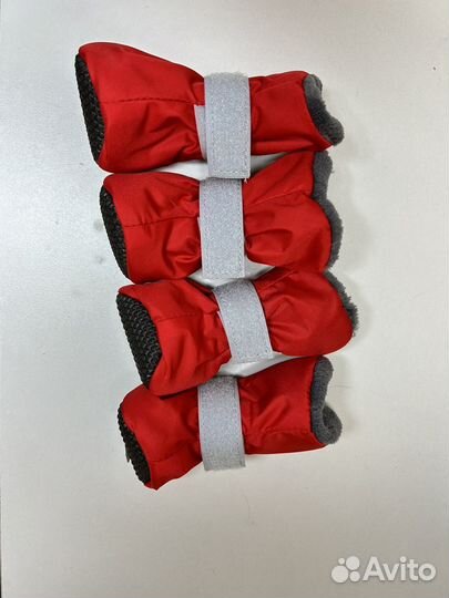 Ботинки для собак