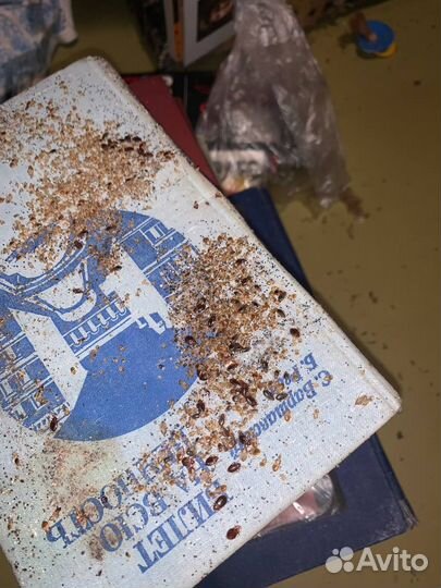 Уничтожение клопов тараканов плесени. Дезинфекция