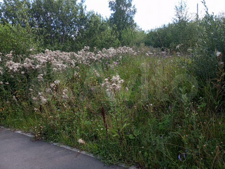 Участок 20 сот. (ИЖС)