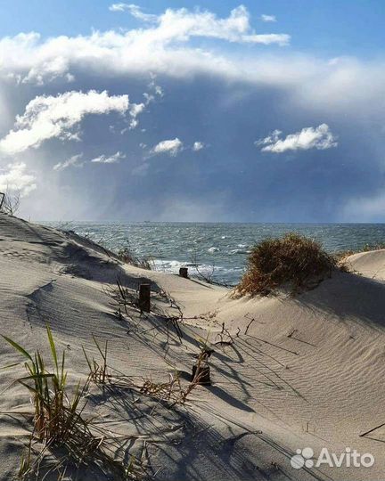 Куршская коса с гидом все возможные локации