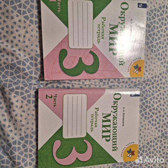 Рабочая тетрадь по окружающемо миру за 3 класс