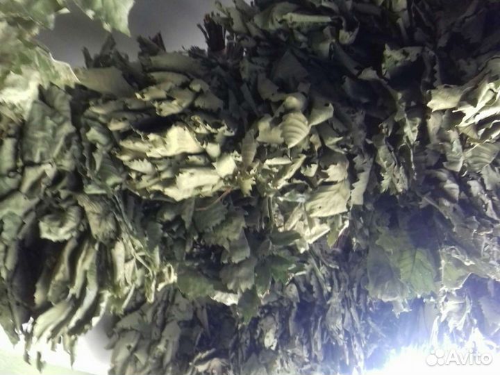 Дубовые веники для бани