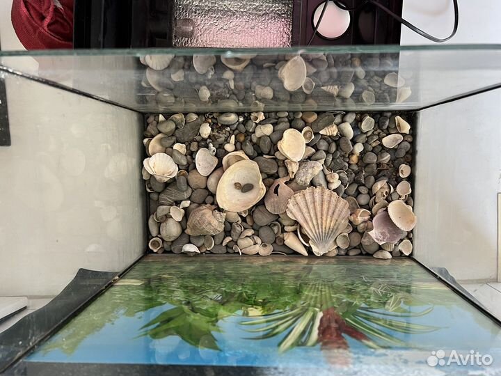 Аквариум 40л