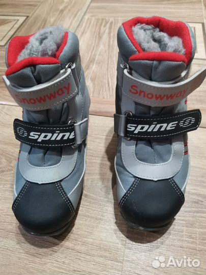 Лыжные ботинки spine 32