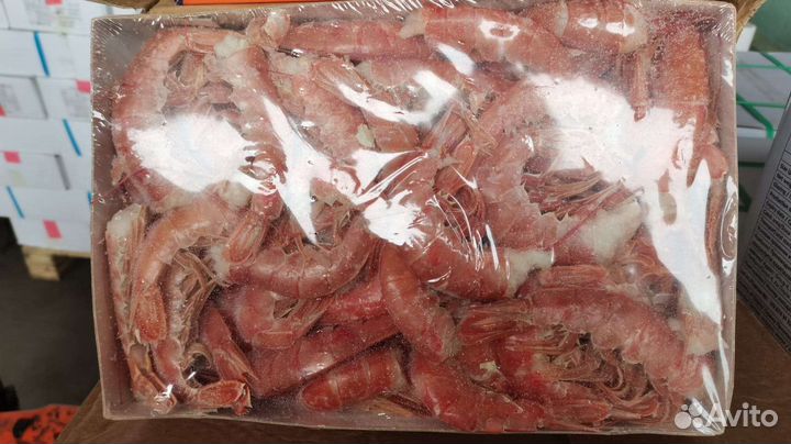 Креветки, Лангустины