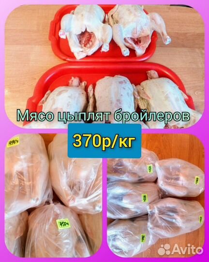 Домашние бройлеры