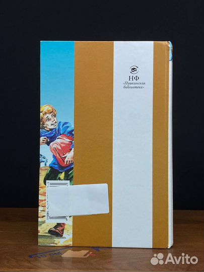 Республика Шкид