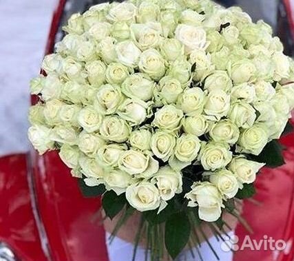 101 Роза Цветы Букеты 51 25 Роз Доставка