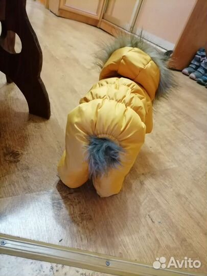 Комбинезон для маленькой собаки