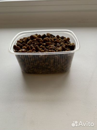 Перга пчелиная