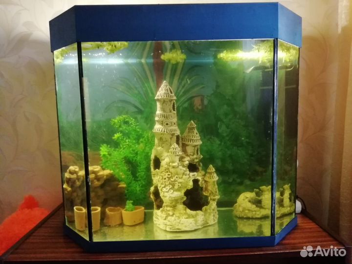 Аквариум
