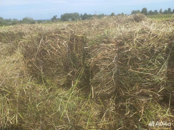 Сено и солома в тюках