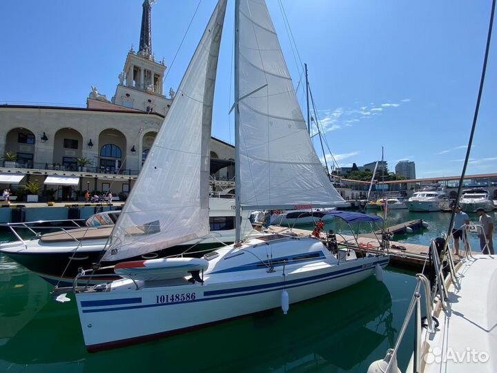 Аренда яхт и катеров в Сочи