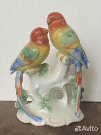 Попугаи Германия