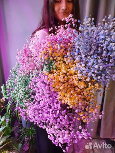 Букет цветной гипсофилы на 1 сентября