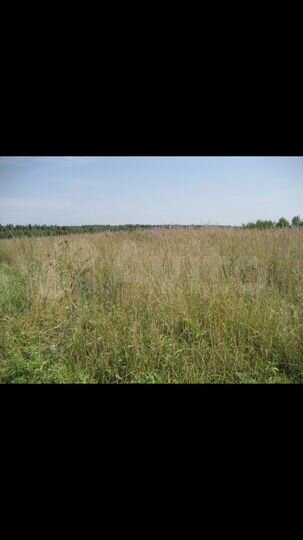 Участок 20 сот. (ИЖС)