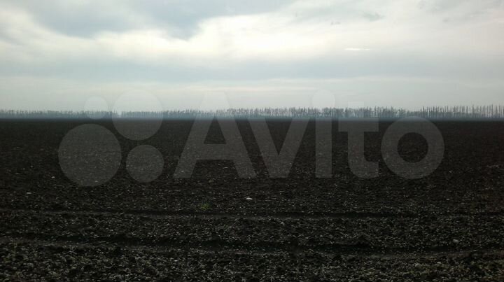Участок 1,63 га (СНТ, ДНП)