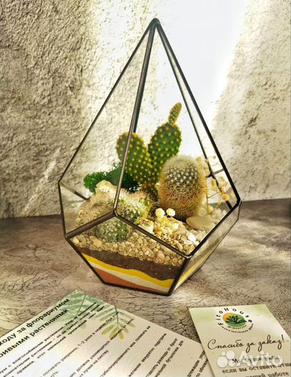 Флорариум с кактусами