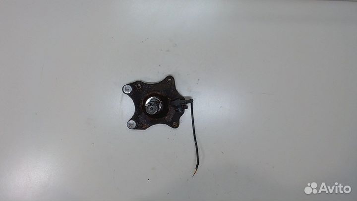 Ступица (кулак, цапфа) Citroen C4, 2010