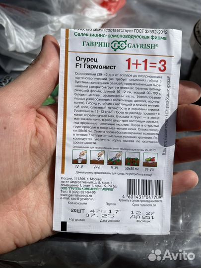 Рассада огурцов Гармонист F1