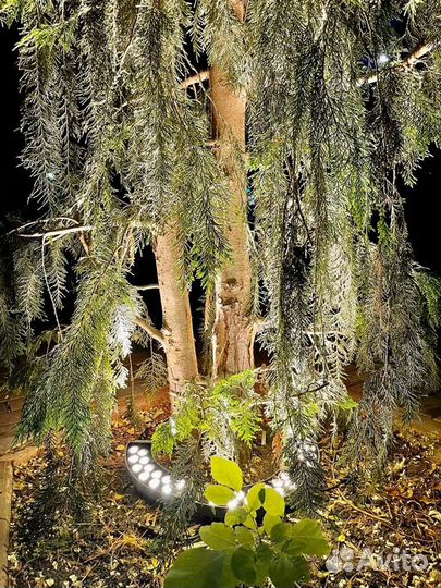 Светильник узколучевой bongo LED радиальный 48вт