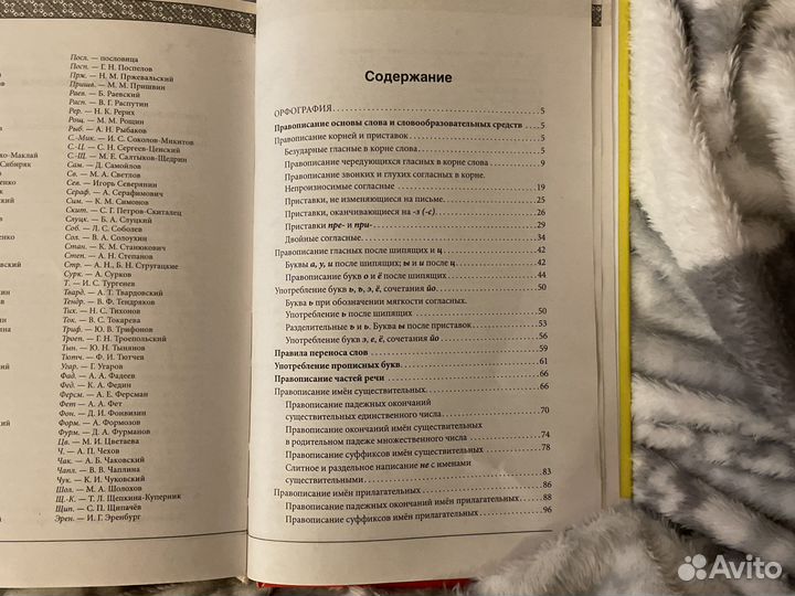 Русский язык