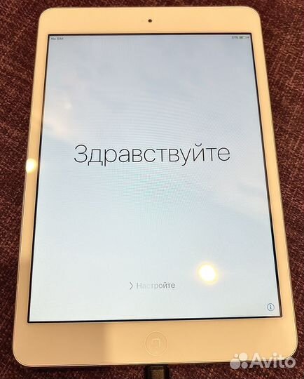 iPad mini A 1455