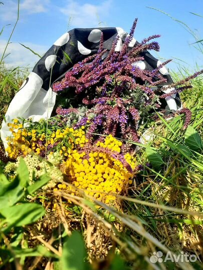 Лекарственные травы