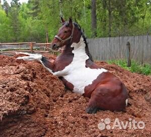 Продаём Дрова, перегной Навоз конский, чернозём